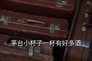 茅臺(tái)小杯子一杯有好多酒