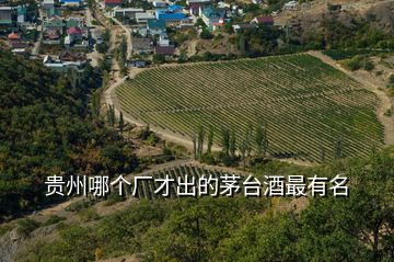 貴州哪個(gè)廠才出的茅臺(tái)酒最有名