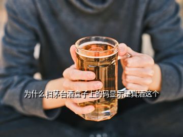 為什么掃茅臺(tái)酒盒子上的碼顯示是真酒這個(gè)