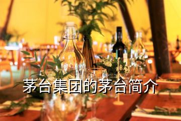茅臺(tái)集團(tuán)的茅臺(tái)簡(jiǎn)介