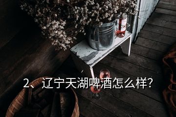 2、遼寧天湖啤酒怎么樣？