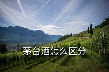 茅臺(tái)酒怎么區(qū)分