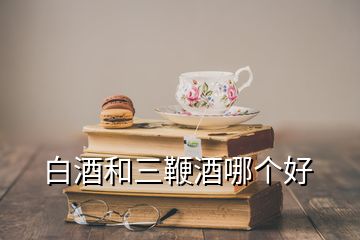 白酒和三鞭酒哪個好