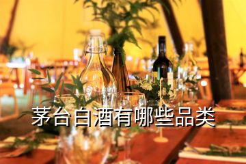 茅臺白酒有哪些品類