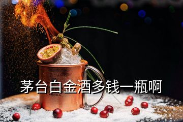 茅臺白金酒多錢一瓶啊