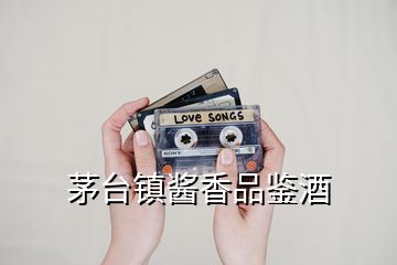 茅臺(tái)鎮(zhèn)醬香品鑒酒