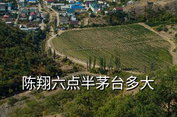 陳翔六點半茅臺多大