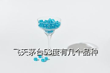 飛天茅臺53度有幾個(gè)品種