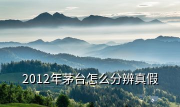 2012年茅臺(tái)怎么分辨真假