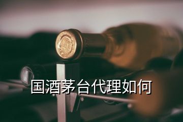 國(guó)酒茅臺(tái)代理如何