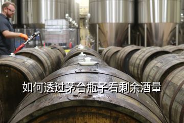 如何透過茅臺瓶子看剩余酒量