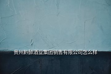 貴州黔醉酒業(yè)集團銷售有限公司怎么樣