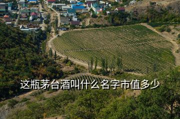 這瓶茅臺(tái)酒叫什么名字市值多少