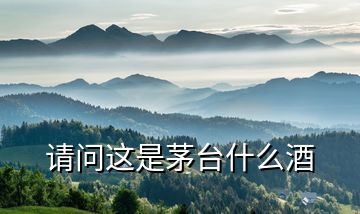 請問這是茅臺什么酒