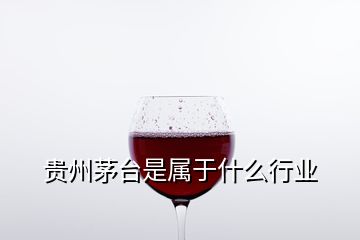貴州茅臺(tái)是屬于什么行業(yè)