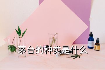 茅臺(tái)的種類(lèi)是什么