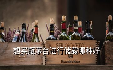 想買瓶茅臺(tái)進(jìn)行儲(chǔ)藏哪種好