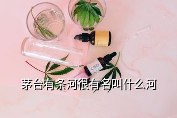茅臺有條河很有名叫什么河