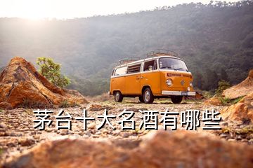 茅臺(tái)十大名酒有哪些