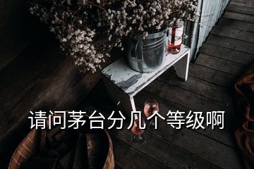 請(qǐng)問(wèn)茅臺(tái)分幾個(gè)等級(jí)啊