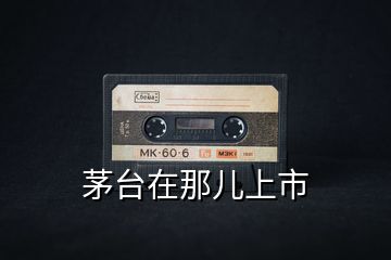 茅臺(tái)在那兒上市