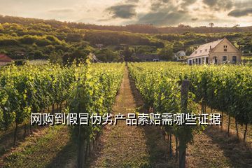 網(wǎng)購(gòu)到假冒偽劣產(chǎn)品索賠需哪些證據(jù)