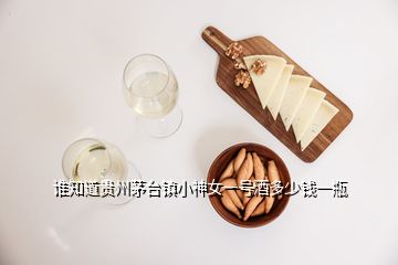 誰(shuí)知道貴州茅臺(tái)鎮(zhèn)小神女一號(hào)酒多少錢(qián)一瓶
