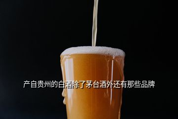 產自貴州的白酒除了茅臺酒外還有那些品牌