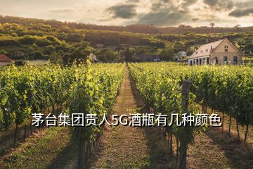 茅臺集團(tuán)貴人5G酒瓶有幾種顏色