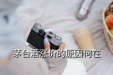 茅臺酒漲價(jià)的原因何在