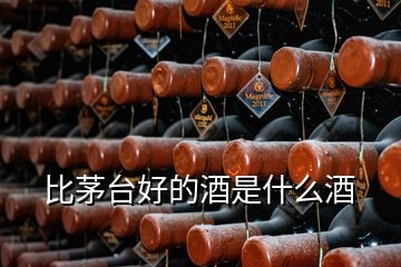比茅臺好的酒是什么酒