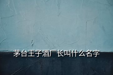 茅臺(tái)王子酒廠長(zhǎng)叫什么名字