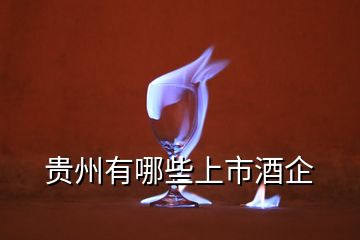 貴州有哪些上市酒企