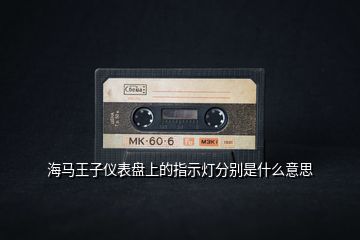 海馬王子儀表盤(pán)上的指示燈分別是什么意思