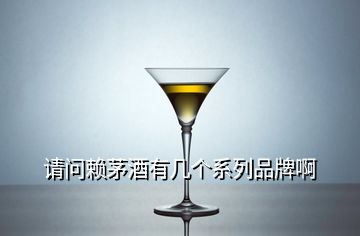 請問賴茅酒有幾個系列品牌啊