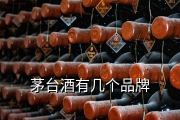 茅臺酒有幾個品牌