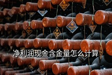 凈利潤現(xiàn)金含金量怎么計(jì)算