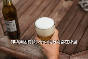 神華集團有多少子公司分別都在哪里