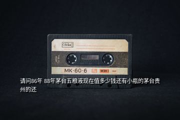 請(qǐng)問(wèn)86年 88年茅臺(tái)五糧液現(xiàn)在值多少錢還有小瓶的茅臺(tái)貴州的還