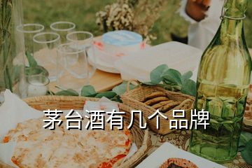 茅臺酒有幾個品牌