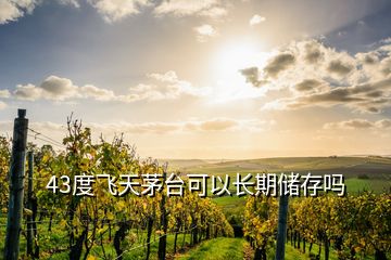 43度飛天茅臺可以長期儲存嗎