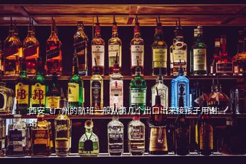 西安飛廣州的航班一般從第幾個出口出來接孩子用謝謝