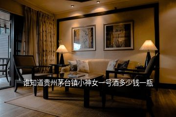誰(shuí)知道貴州茅臺(tái)鎮(zhèn)小神女一號(hào)酒多少錢一瓶