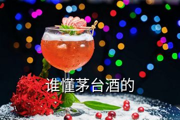 誰懂茅臺(tái)酒的