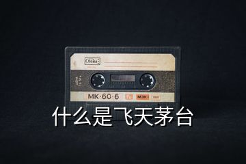 什么是飛天茅臺(tái)