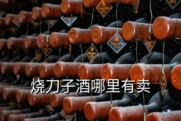 燒刀子酒哪里有賣(mài)