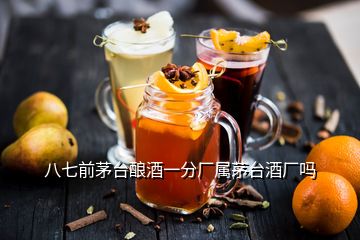 八七前茅臺(tái)釀酒一分廠屬茅臺(tái)酒廠嗎