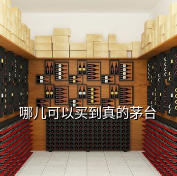 哪兒可以買(mǎi)到真的茅臺(tái)