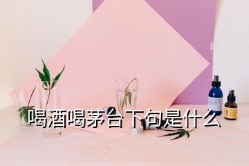 喝酒喝茅臺下句是什么