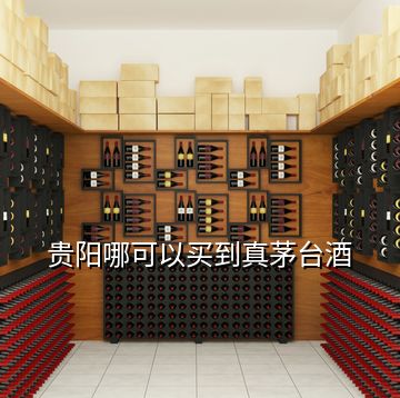 貴陽哪可以買到真茅臺酒